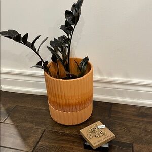 Banana Republic Rope Chain Necklace